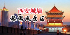 操骚逼视频大鸡巴抽插中国陕西-西安城墙旅游风景区